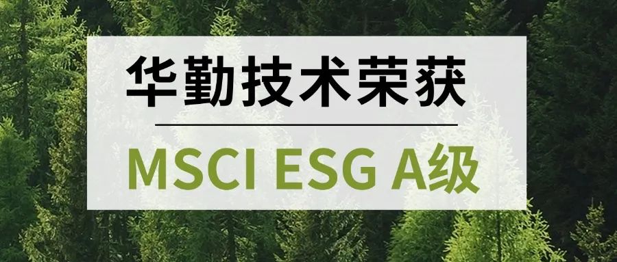 国际认可 首评获A｜z6尊龙官方网站登录入口手艺荣获MSCI ESG A级权威一定